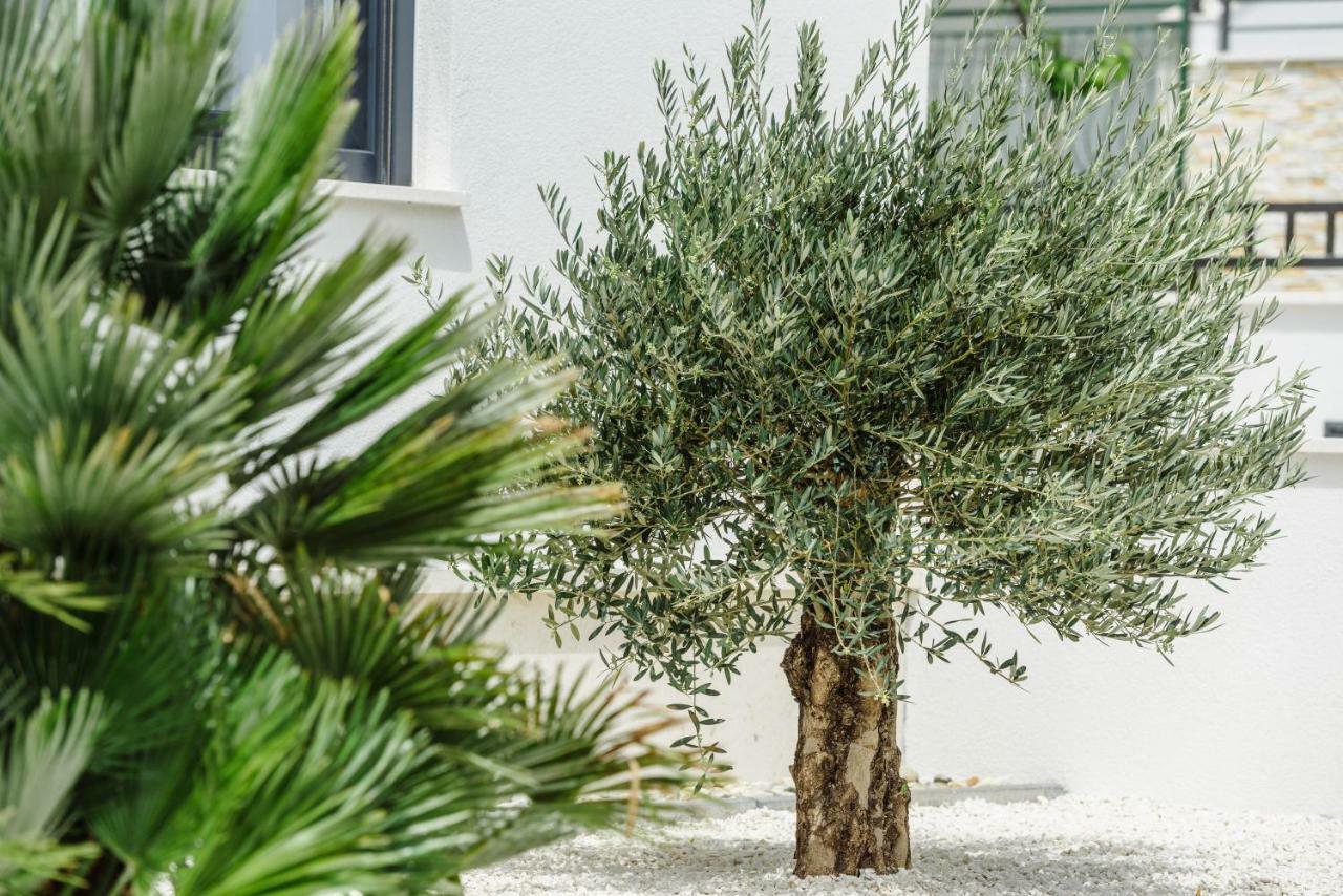 Apartments Villa Dalmatia Trogir Exterior photo